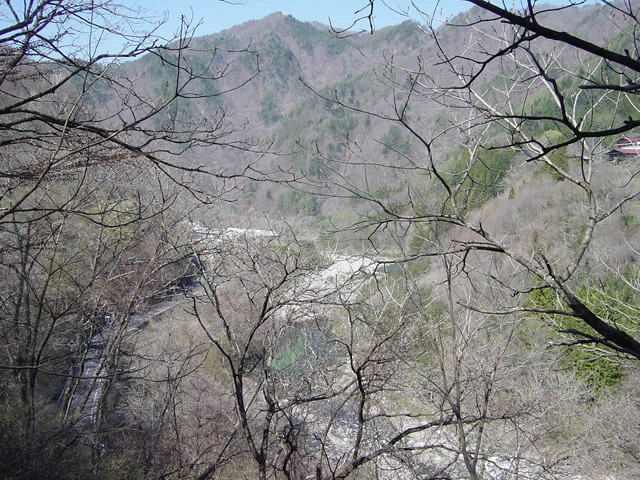 ����X�ѓS��,�ѓS,�p����,�㏼�^�A�c�я�,�ؑ]�H,�����,���O�x��