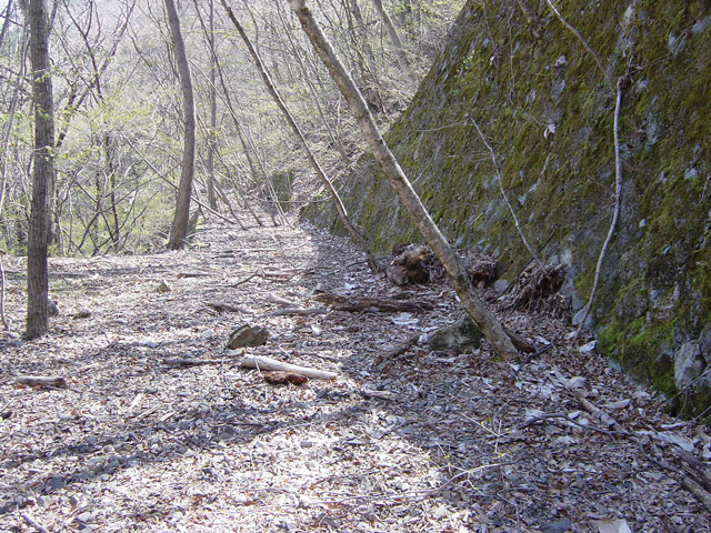 ����X�ѓS��,�ѓS,�p����,�؍މ^���O����,�K�m�ؑ򋴗�,�ؑ]��,�㏼�^�A�c�я�