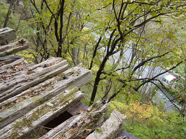 ����X�ѓS��,�ѓS,�p����,��q������,����,���쌧��256����x���ꍕ���