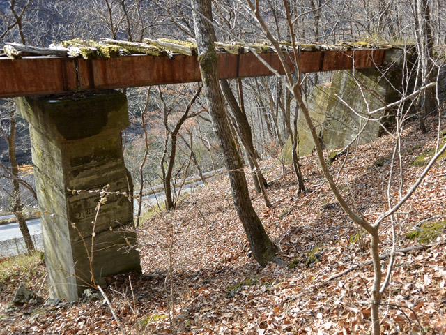 ����ѓS,�X�ѓS��,�p����,�؍މ^���O����,��q������,�A�C�r�[��