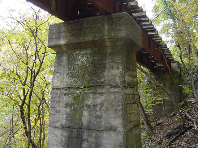 ����ѓS,�X�ѓS��,�p����,�i���[�O����,��q������,���r