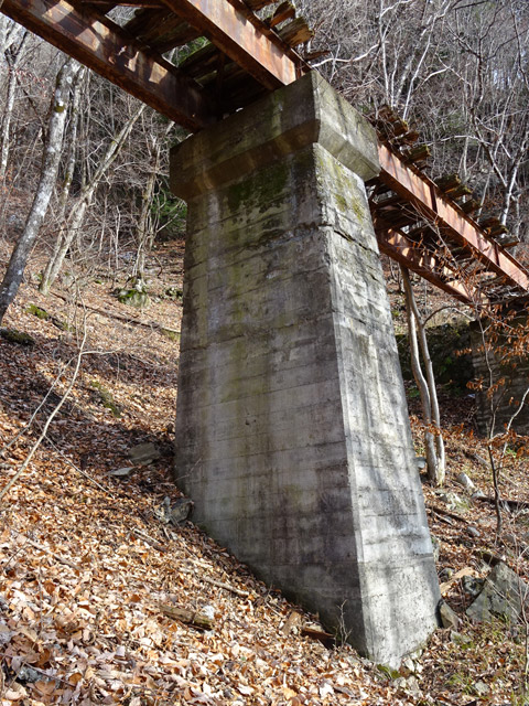 ����ѓS,�X�ѓS��,�p����,2�t�B�[�g6�C���`,��q������,���r