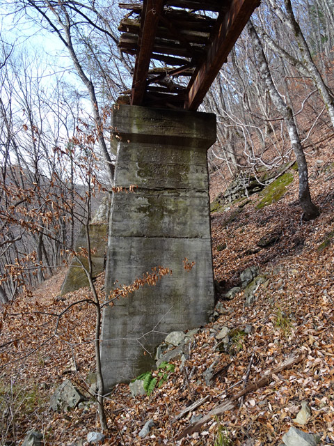 ����ѓS,�X�ѓS��,�p����,2�t�B�[�g6�C���`,��q������,Pier