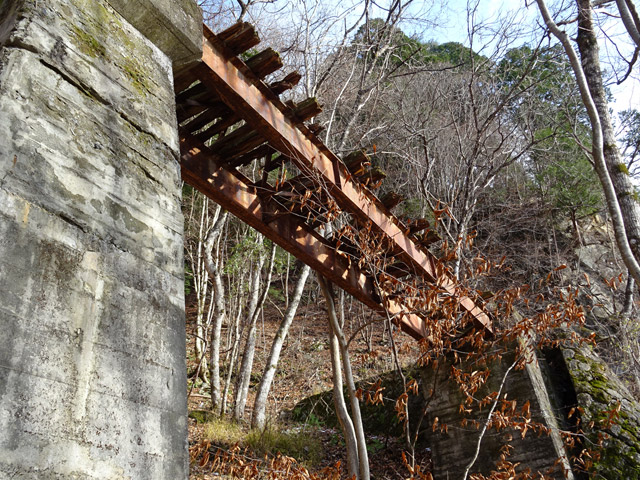 �ؑ]�X�ѓS�������,�ѓS,�p����,�i���[�Q�[�W,��q������,�A�C�r�[��