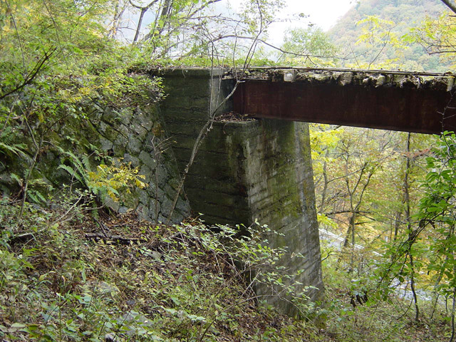 ����X�ѓS��,�ѓS,�p����,��q������,�i���[�Q�[�W,����