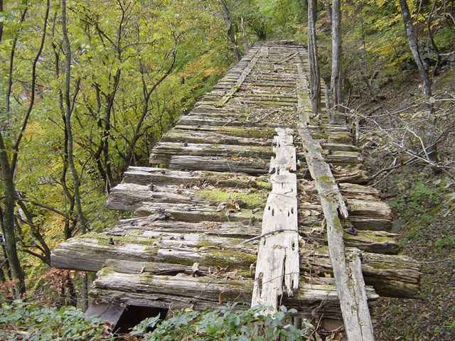 ����ѓS,�X�ѓS��,�p����,����,��q������,�i���[�O����,�㏼�^�A�c�я�