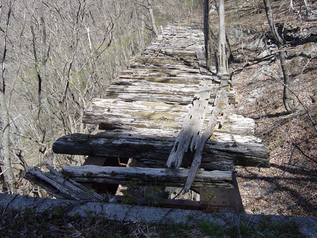 ����ѓS,�X�ѓS��,�p����,��_�ϑ�,��q������,�i���[�Q�[�W,���ꑺ