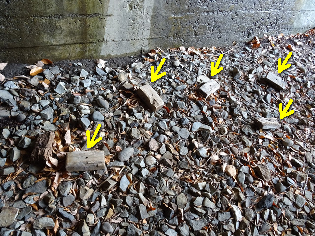 ����X�ѓS��,�ѓS,�p����,��q���g���l��,�`���b�N��,�ې�