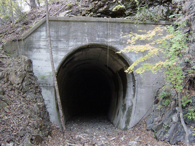 ����ѓS,�X�ѓS��,�p����,�i���[�O����,��q��詓�,�g���l���|�[�^��