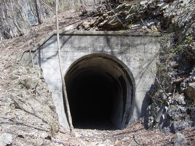 ����ѓS,�X�ѓS��,�p����,�i���[�Q�[�W,��q��詓�,�g���l���|�[�^��