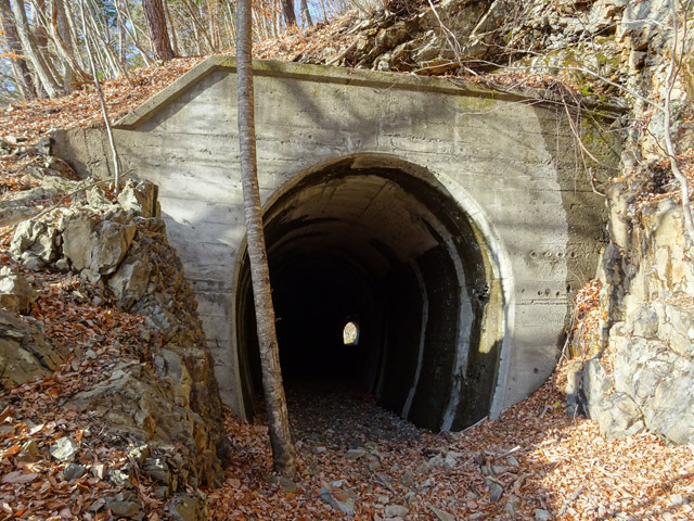 ����ѓS,�X�ѓS��,�p����,2�t�B�[�g6�C���`,��q��詓�,�g���l���|�[�^��