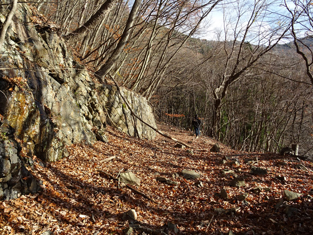 �ؑ]�X�ѓS�������,�ѓS,�p����,����,�؍މ^���O����,���ꑺ