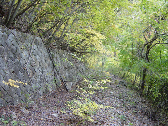 �ؑ]�X�ѓS�������,�ѓS,�p����,�H��,�i���[�O����,�Ί_