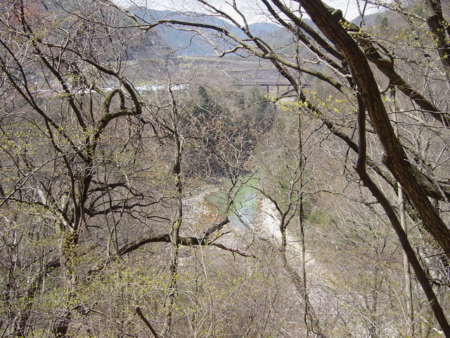 ����X�ѓS��,�ѓS,�p����,�����,���ꑺ,�Z�i��