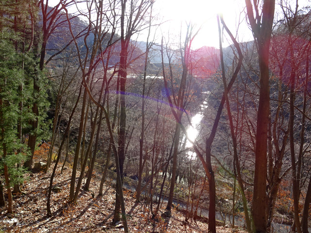 ����X�ѓS��,�ѓS,�p����,�����,����,�Z�i��