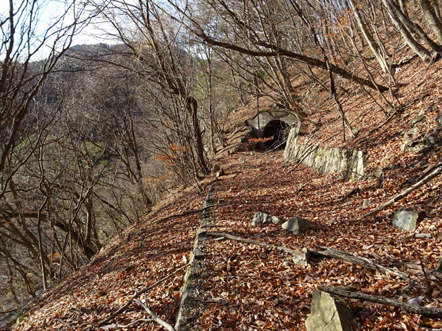 ����X�ѓS��,�ѓS,�p����,�؍މ^���O����,����,����c�ы�