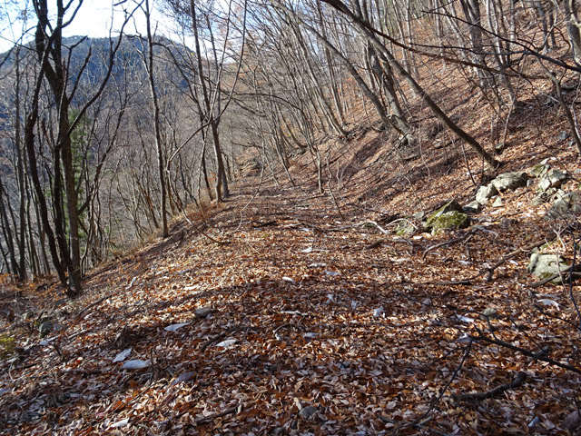 ����ѓS,�X�ѓS��,�p����,�����H,���ꑺ,�c�я��O��