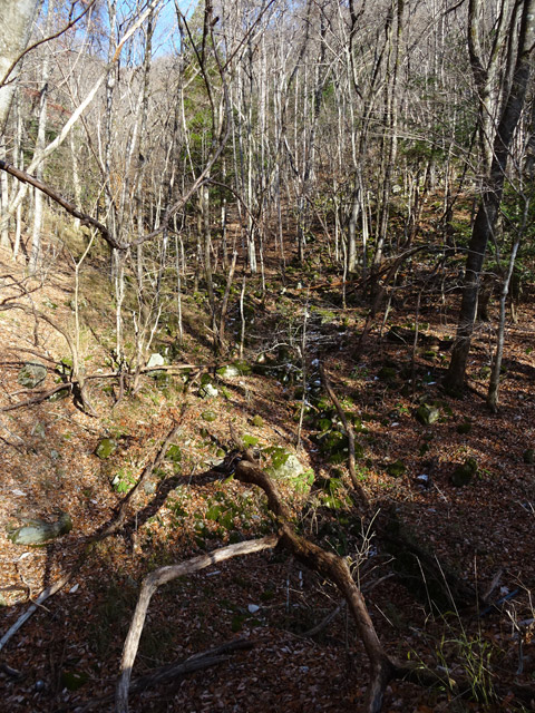 ����ѓS,�X�ѓS��,�p����,�J��,����,���ꑺ