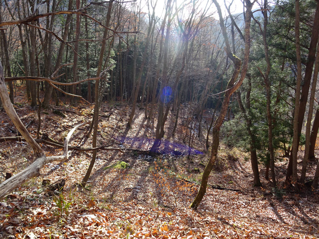 ����ѓS,�X�ѓS��,�p����,���i,�y�؋O��,�㏼�^�A�c�я�