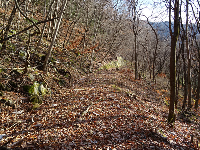 ����X�ѓS��,�ѓS,�p����,�؍މ^���O����,����,1����