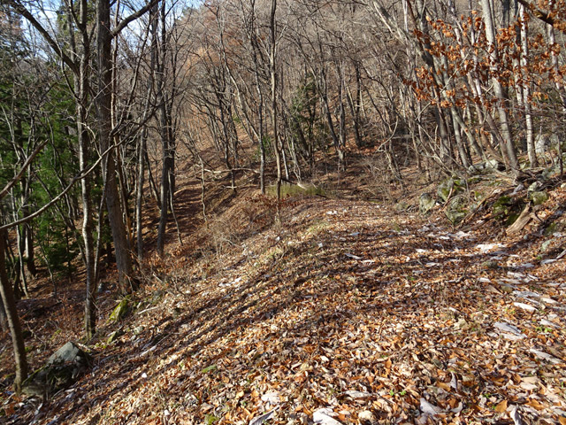 ����X�ѓS��,�ѓS,�p����,�i���[�Q�[�W,�t�֐�,�ؑ]�X