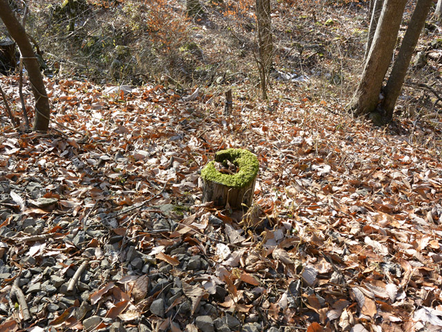 ����X�ѓS��,�ѓS,�p����,�i���[�O����,�t�֐�,�ʐM��