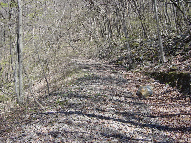 ����X�ѓS��,�ѓS,�p����,�c�я��O����,�t�֐�,�V��