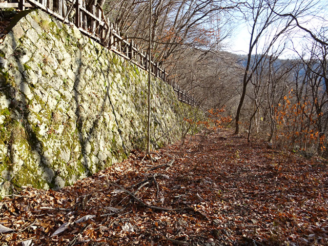 ����ѓS,�X�ѓS��,�p����,����,�؍މ^���O����,�Ί_