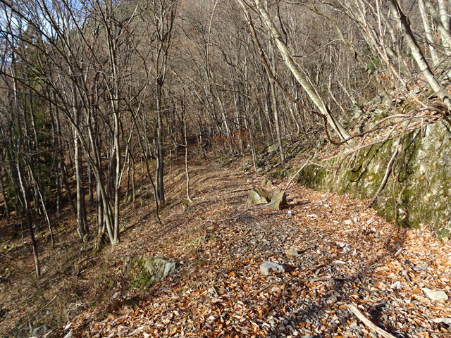 ����ѓS,�X�ѓS��,�p����,�H��,�㏼�^�A�c�я�,�ؑ]