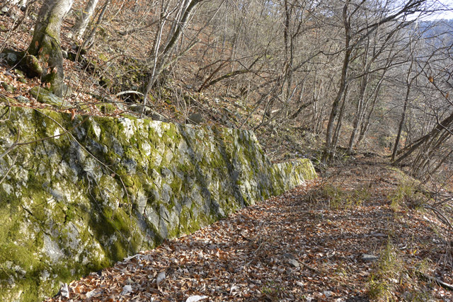 ����ѓS,�X�ѓS��,�p����,����,�i���[�O����,1����