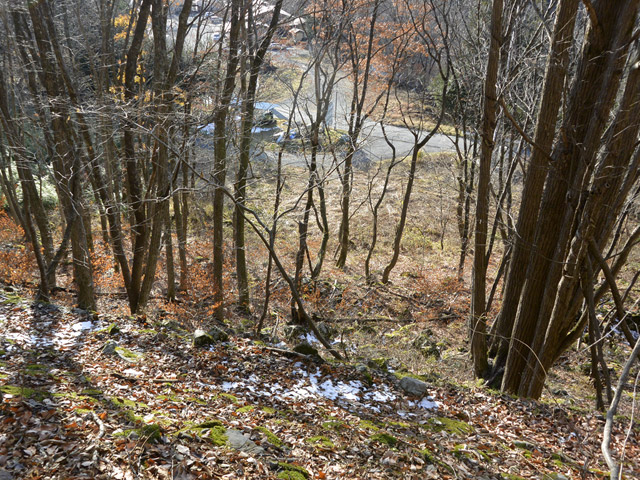 ����ѓS,�X�ѓS��,�p����,����S���{��,�i���[�O����,1����