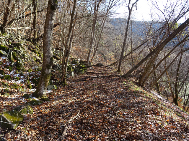 �ؑ]�X�ѓS�������,�ѓS,�p����,�t�֐�,�y�؋O��,�㏼�^�A�c�я�