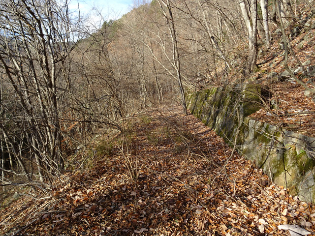 �ؑ]�X�ѓS�������,�ѓS,�p����,�t�֐�,�c�я��O��,�Ί_