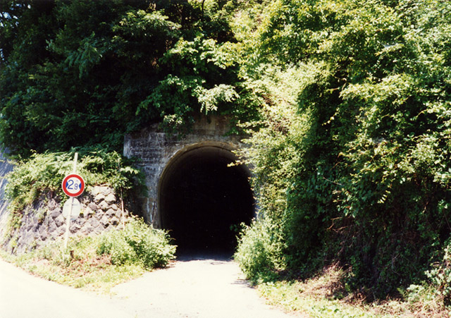 ����X�ѓS��,�ѓS,�p����,���̎ʐ^,�q��詓�,�؍މ^���O����,�ԓ�����