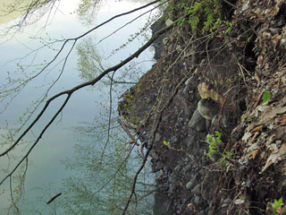 �X�ѓS��,����ѓS,�p����,���n����,�c�я��O��,�V��