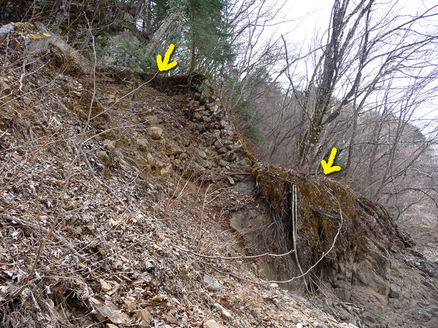 ����X�ѓS��,�ѓS,�p����,���ꑺ,����,��x��,����