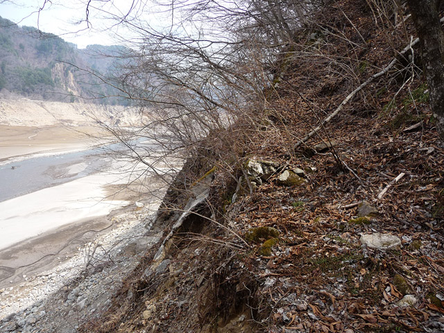 ����X�ѓS��,�ѓS,�p����,���ꑺ,����,��x��,����