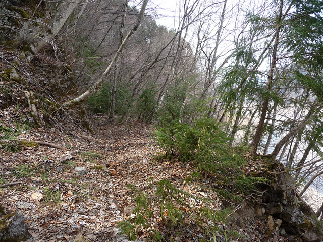 ����X�ѓS��,�ѓS,�p����,���ꑺ,�c�я��O����,��x��,�V��