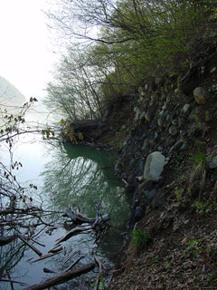 ����X�ѓS��,�ѓS,�p����,��������,�y�֋O����,�q���_����,����