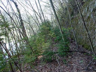 ����ѓS,�ؑ]�X�ѓS��,�p����,�����򋴗�,�؍މ^���O����,�V��