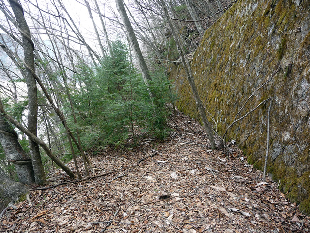 ����ѓS,�ؑ]�X�ѓS��,�p����,�����򋴗�,�؍މ^���O����,�V��