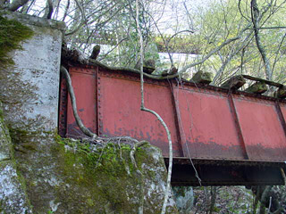 ����X�ѓS��,�ѓS,�p����,����,�����򋴗�,�V��,�؍މ^���O����