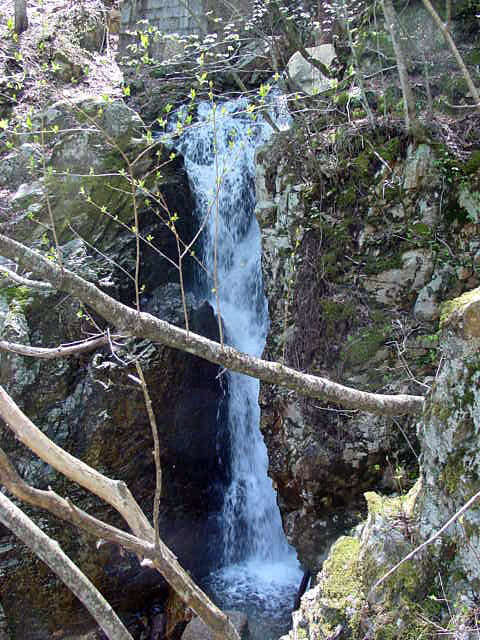 ����X�ѓS��,�ѓS,�p����,�����򋴗�,���ꑺ,����c�ы�