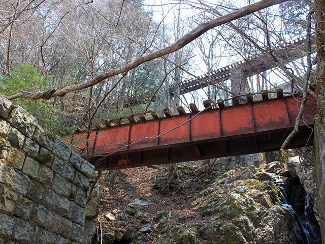 ����X�ѓS��,�ѓS,�p����,�����򋴗�,�v���[�g�K�[�_�[,���ː�x��