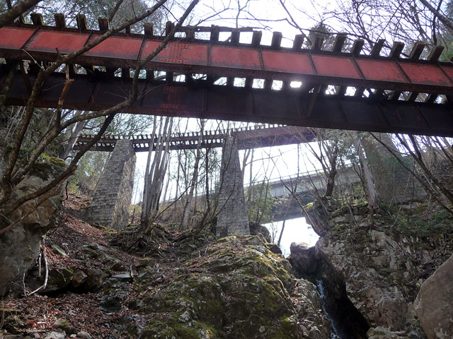 ����X�ѓS��,�ѓS,�p����,�����򋴗�,�v���[�g�K�[�_�[,�q���_���E�ݓ��H