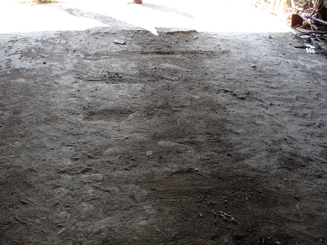 ����ѓS,�ؑ]�X�ѓS��,�厭��ԏ�,�@�֌�,����