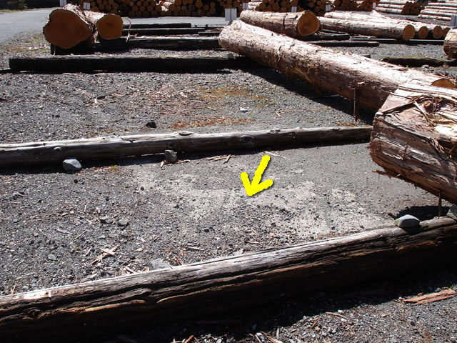 �ѓS,����X�ѓS��,�厭��ԏ�,�p����