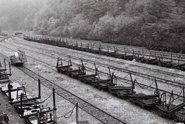 ����ѓS,�ؑ]�X�ѓS��,�厭,��ԏ�W,���[�^�[�J�[