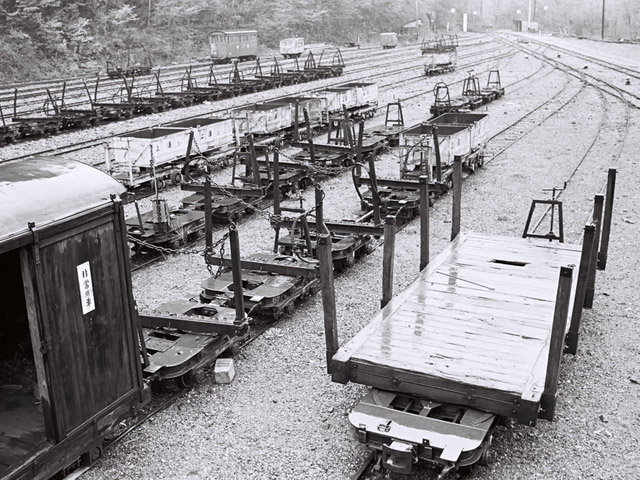 ����ѓS,�ؑ]�X�ѓS��,�厭,��ԏ�W,���[�^�[�J�[