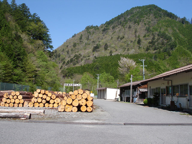 �ѓS,����X�ѓS��,�厭��ԏ�,�p����